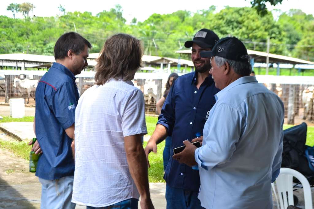 Fotos e Vídeo - 1º Leilão Elo Ms