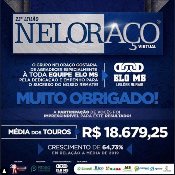 ACESSORIA COMERCIAL 23º NELORAÇO 