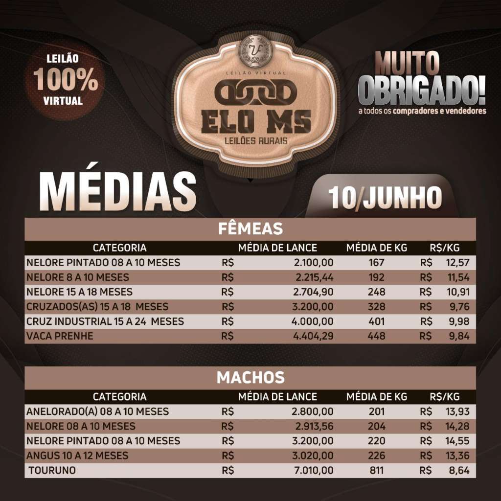 MÉDIA 19º LEILÃO ELO MS