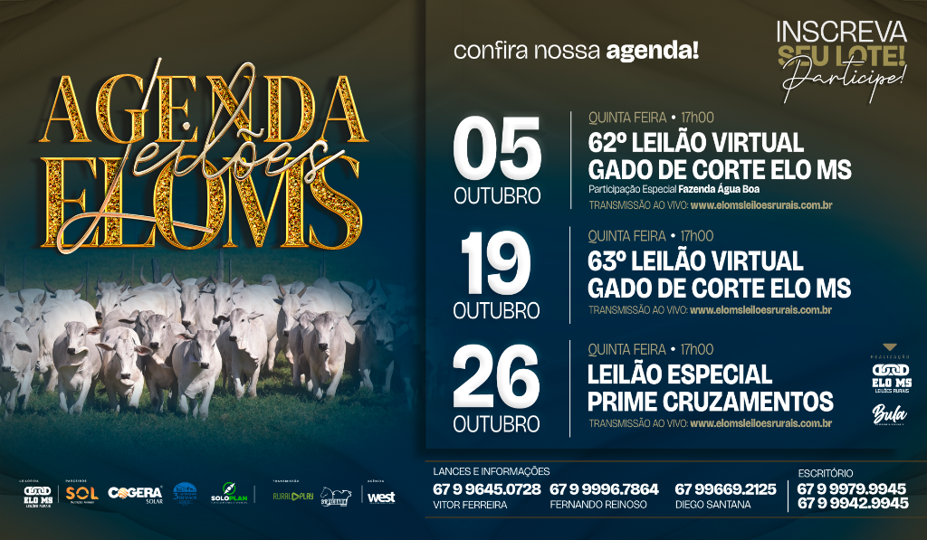 AGENDA DE LEILÕES OUTUBRO