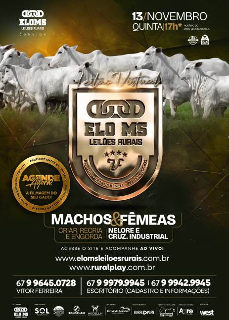 123º LEILÃO VIRTUAL ELO MS 
